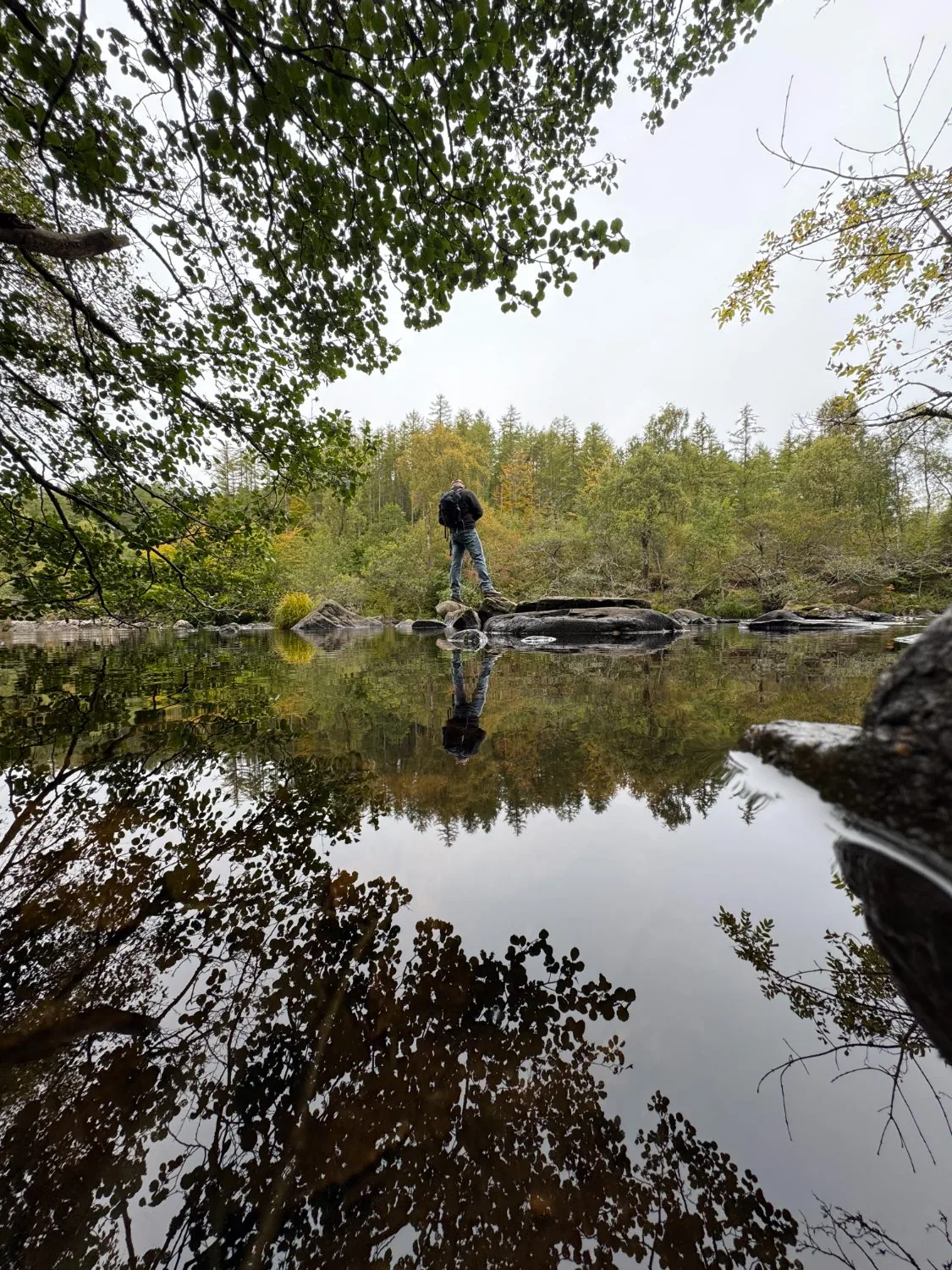 A lone figure standing at the edge of a mirror-still forest lake